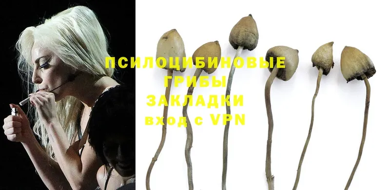 Псилоцибиновые грибы MAGIC MUSHROOMS  Поворино 